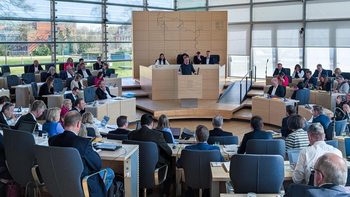 Kiel State Parliament: How large is the majority of academics?
