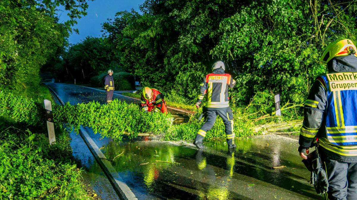 Severe weather in Schleswig-Flensburg: Violent thunderstorm ends summer ...