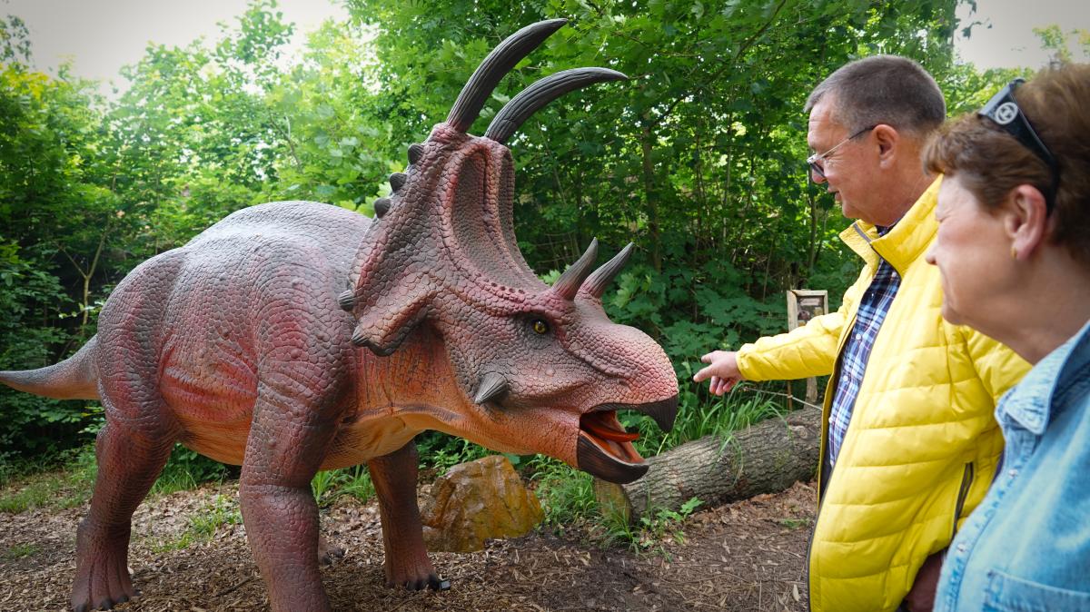 Anzeige-Urzeit-Safari-mit-dem-Dinoversum-im-Zoo-Osnabr-ck