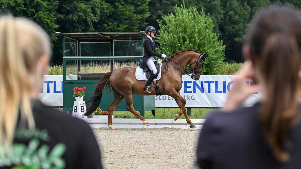 Cloppenburg Equestrian Days: Why the tournament was cancelled