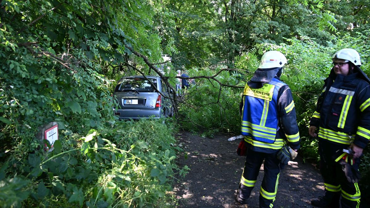 After a night of severe weather: Large branch crashes onto car in ...