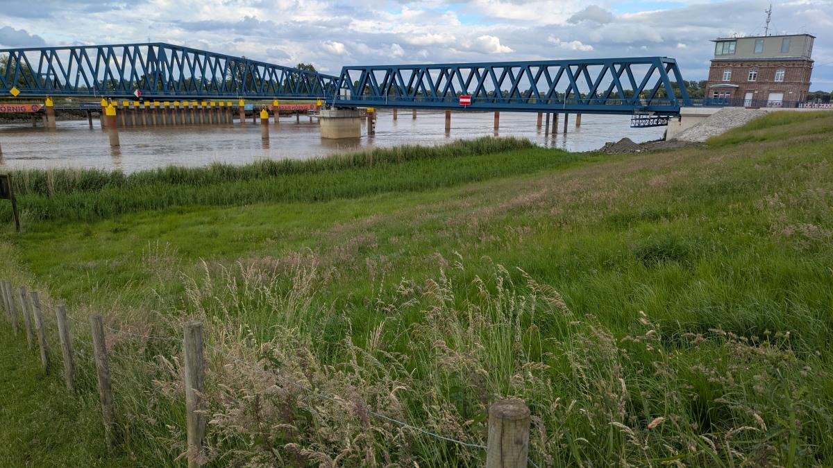 Body parts found: Police investigate gruesome discovery