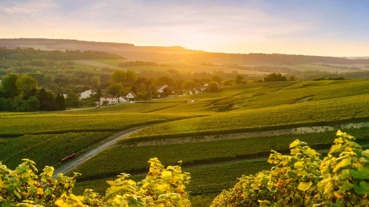 Die-stille-Seite-der-Champagne