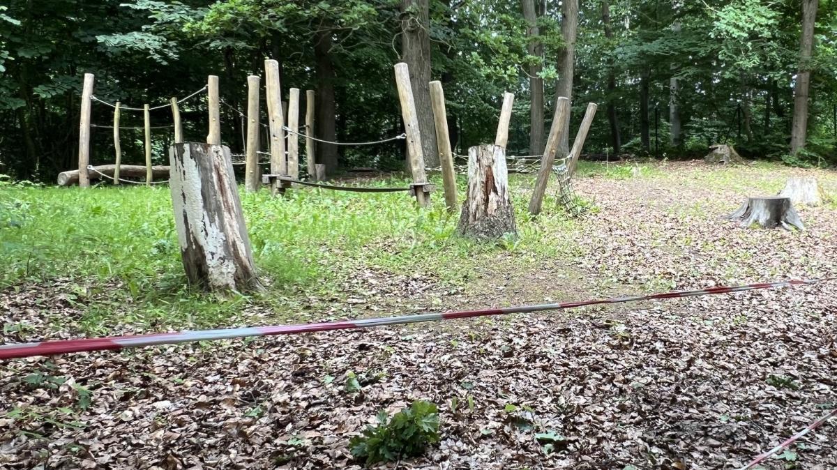 Glücksburg daycare center in trouble: A forest swap should provide the ...