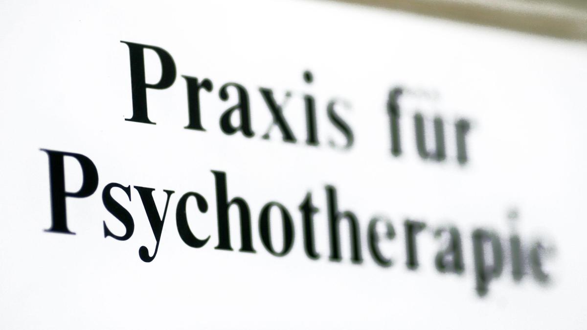 “Profession becomes unpredictable”: Psychotherapists criticize reform