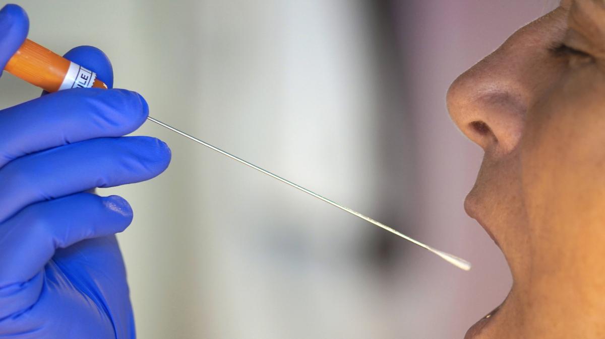Major operation in Kiel: High-rise residents must provide DNA