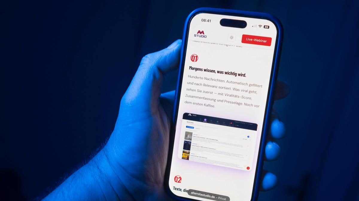 AfD AI automates online hate speech? This is what the party says