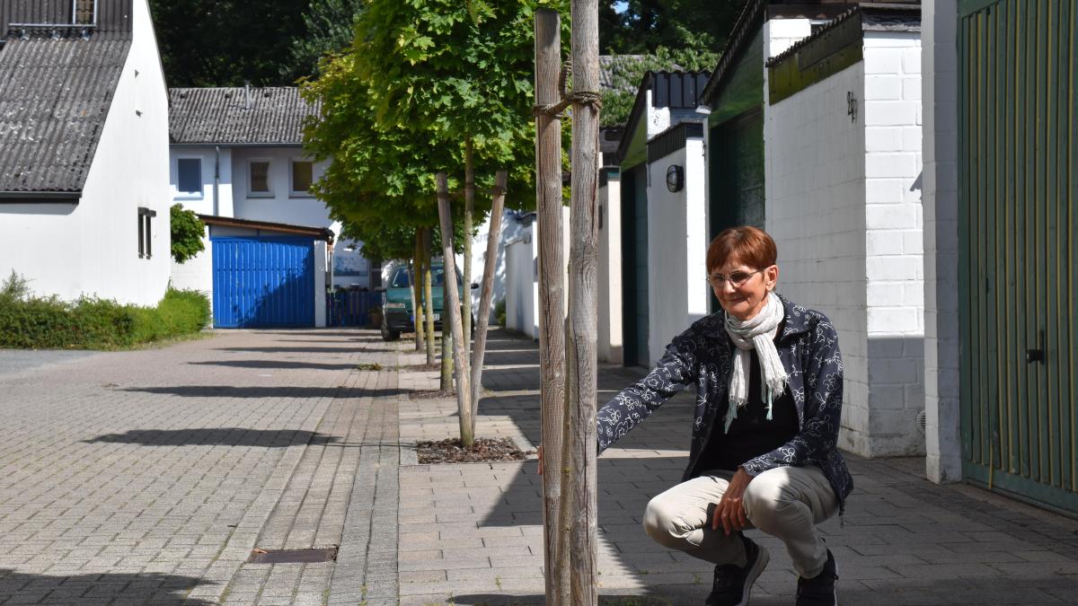 Delmenhorst: Ärger um Baumbeete – Bauverein in der Kritik