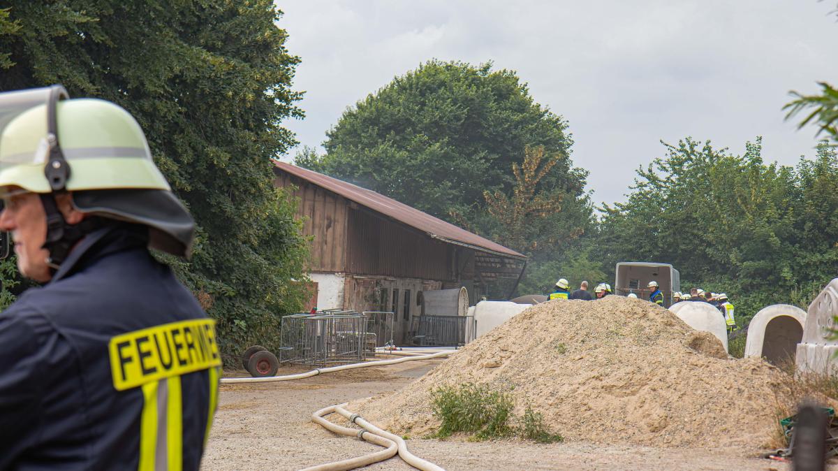 Second fire in Großsolt: Bull injures firefighter