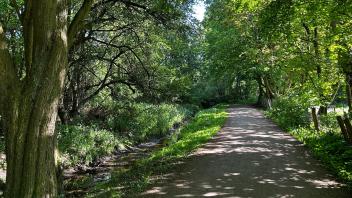 Durch die Natur führt der Weg von Pinneberg nach Elmshorn und zurück.