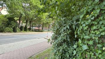 Der Exibitionist soll die jungen Frauen in einem kleinen Waldstück an der Schulstraße, ganz in der Nähe der Grundschule, sexuell belästigt haben.