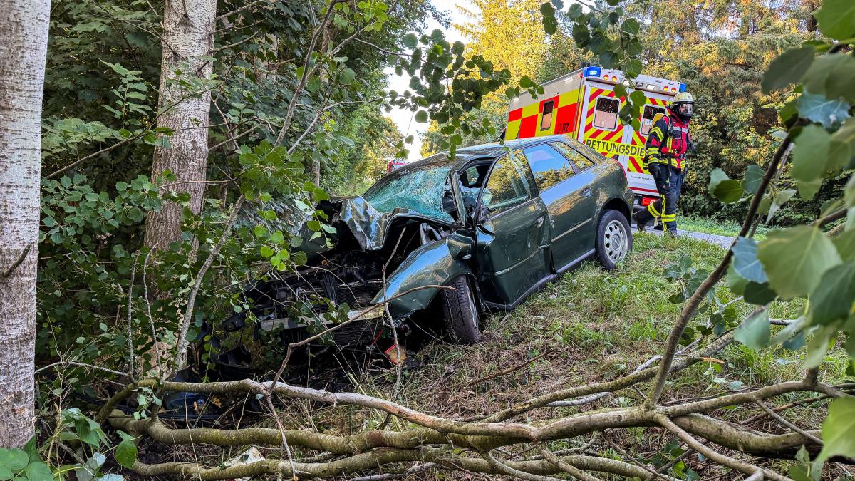 Großsolt: Driver (19) crashes into tree - | L193 closed