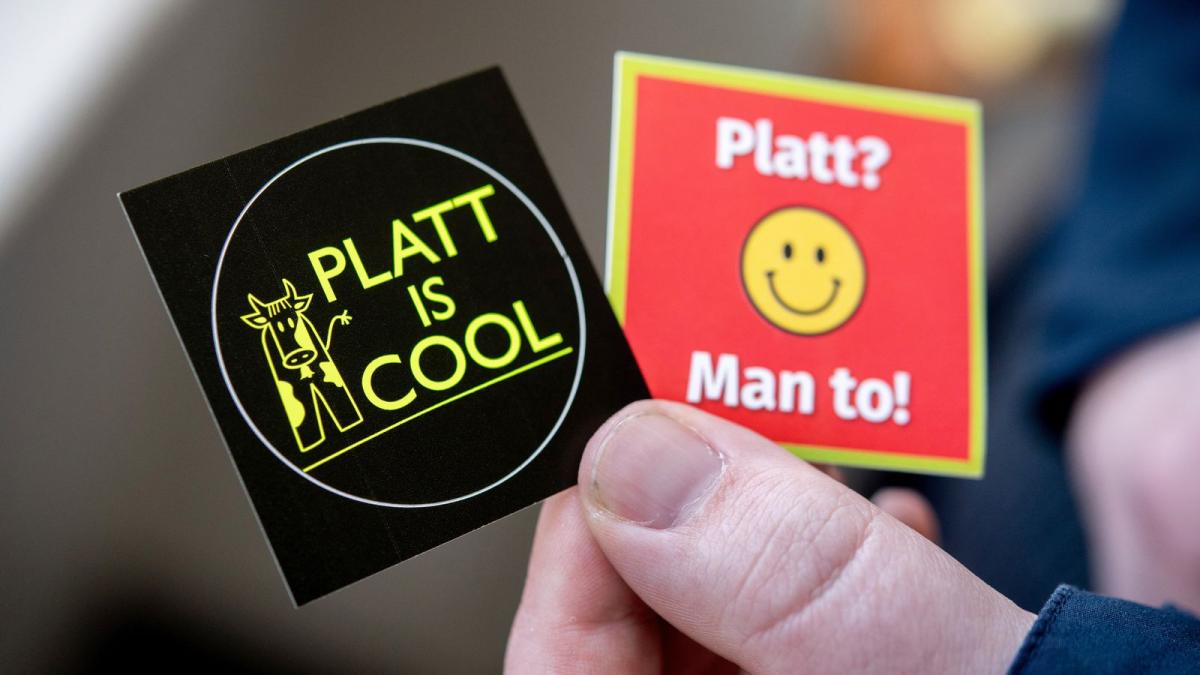 Can Artificial Intelligence Save Small Languages?