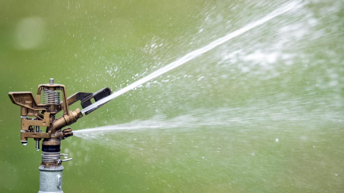 Vechta: Irrigation ban due to low groundwater levels