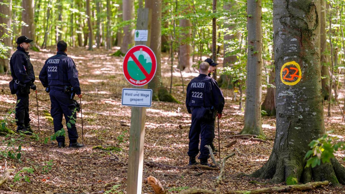 Body found near Glücksburg: Police seek witnesses after torso discovery