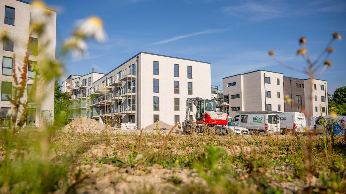 Flensburg: FAB-Neubauprojekt Mummsche Koppel verzögert sich