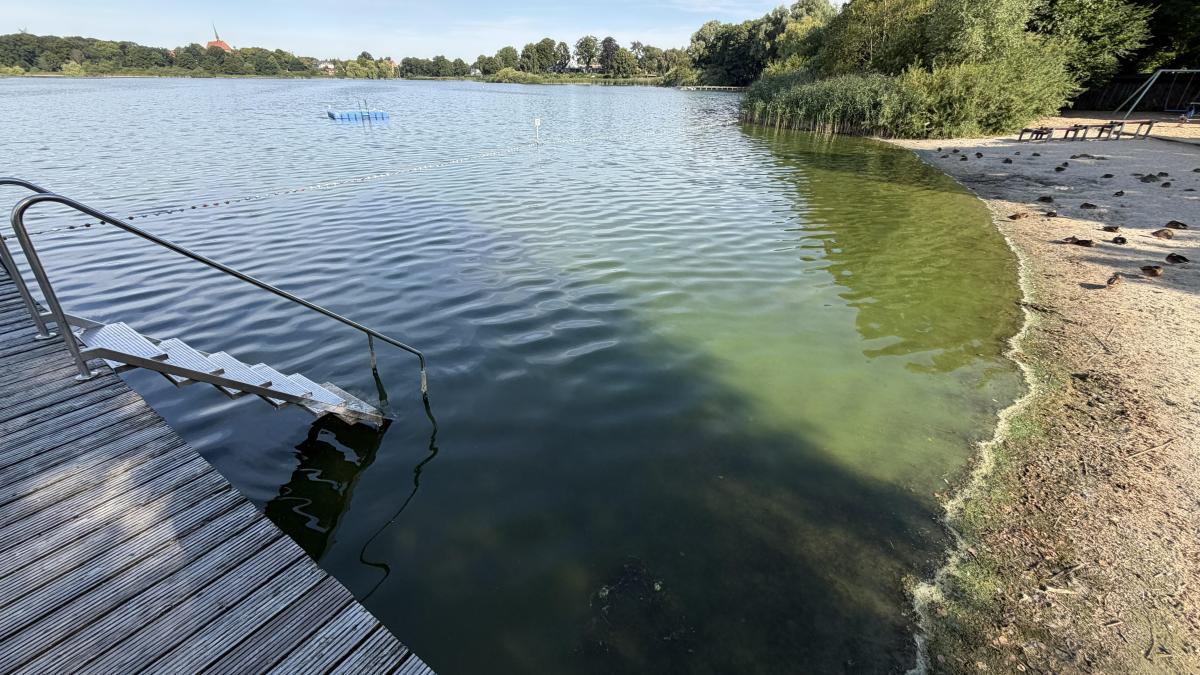 Swimming ban at Lake Bordesholm: Suspected presence of toxic blue-green ...