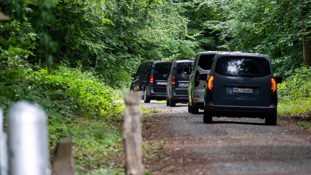 Torso found in Glücksburg: 12 cadaver dogs search the forest