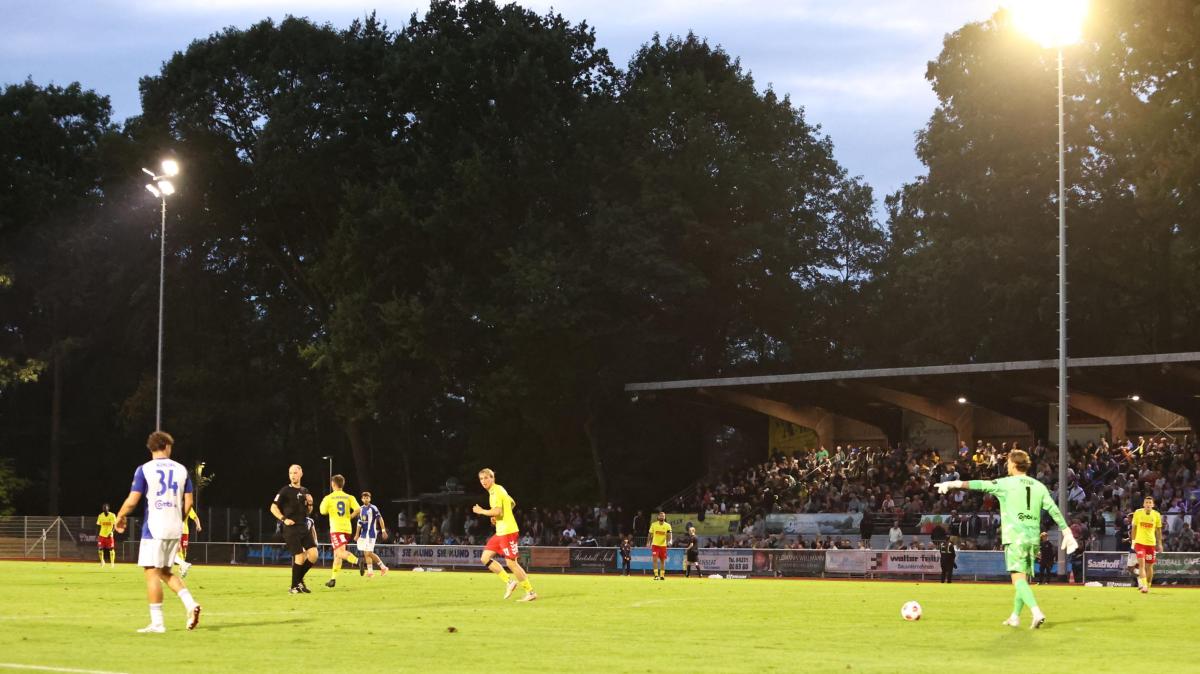 So historisch sind die Zuschauerzahlen des SV Atlas Delmenhorst