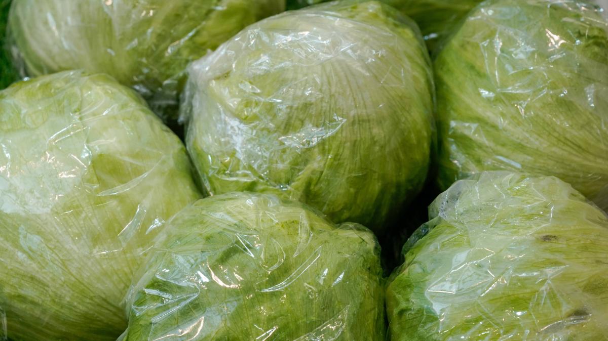 Iceberg lettuce recall at Edeka due to salmonella risk