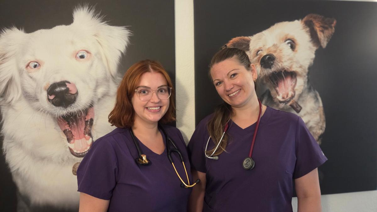 Veterinarians: High suicide risk, but no other job desired