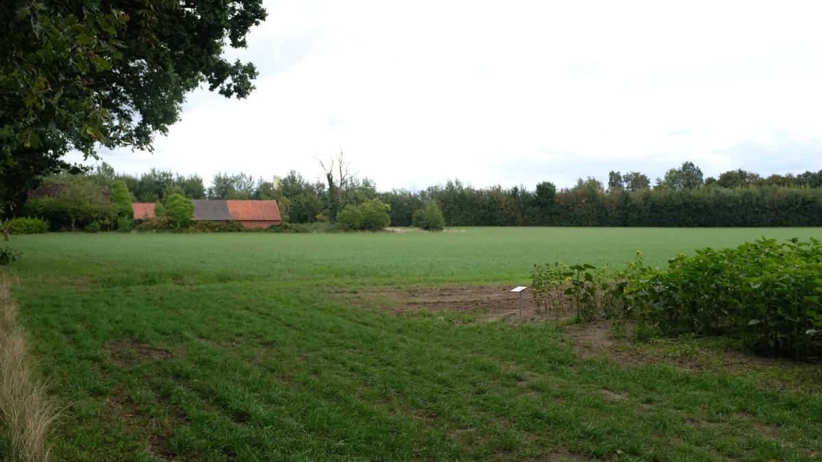 New residential quarter in Cloppenburg: 135 apartments planned