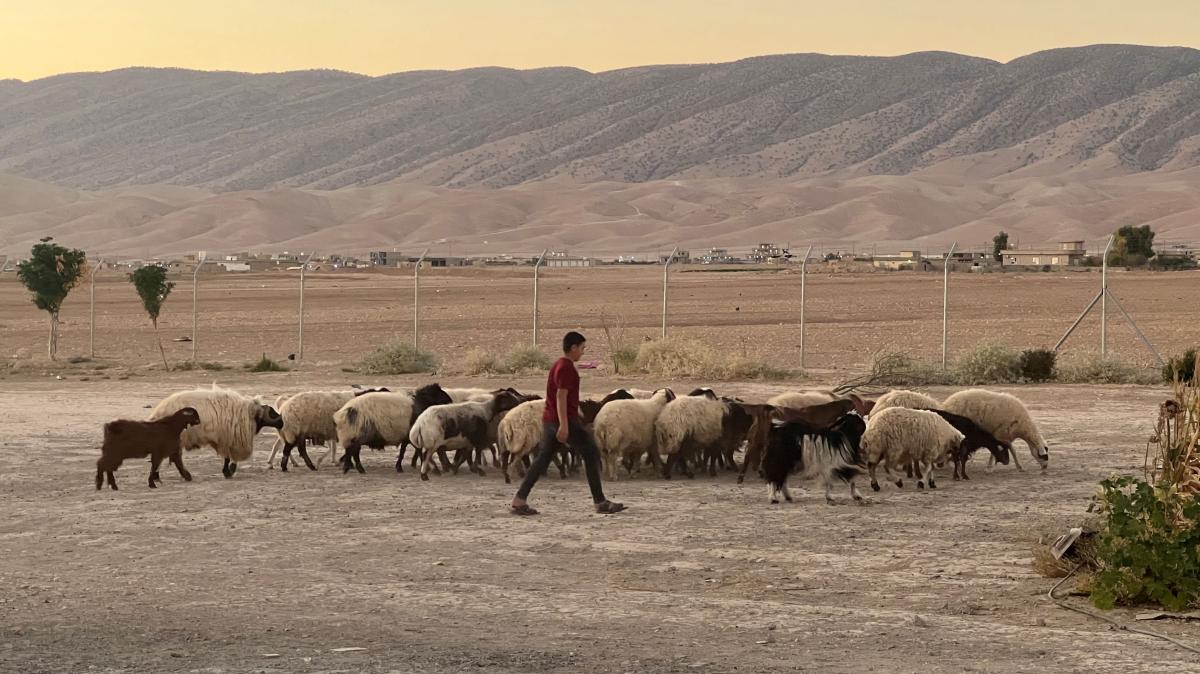 So hilft ein Dinklager Verein Eziden beim Wiederaufbau in Shingal