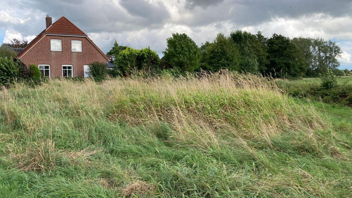 Dispute over building plot on Berliner Straße continues