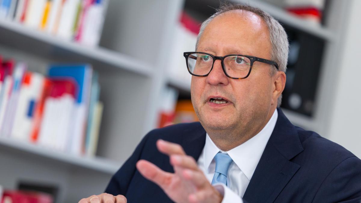 Andreas Voßkuhle on the AfD: Democracy is in more danger than ever before