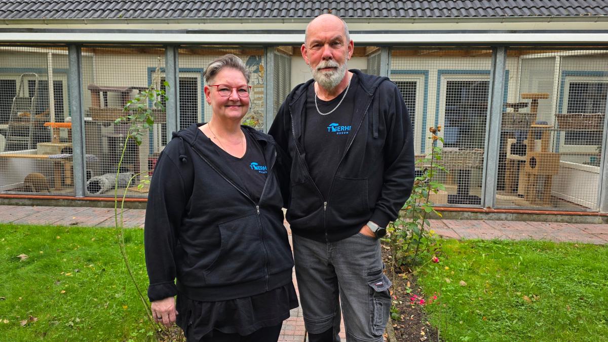New beginning at the Husum animal shelter: Couple takes over the cat ward