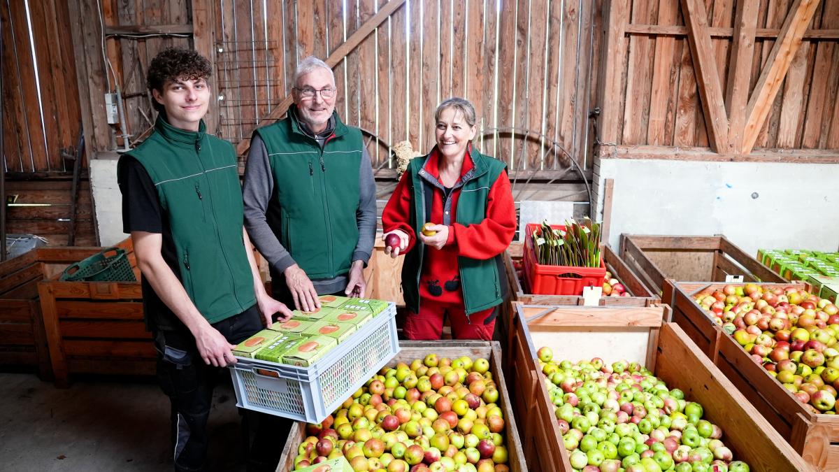 Apple juice from their own apples: Idstedt cider mill near Schleswig