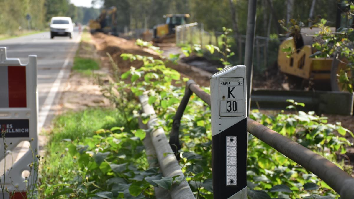 Lohne-Aschen bike path: Land dispute resolved - | When will construction ...