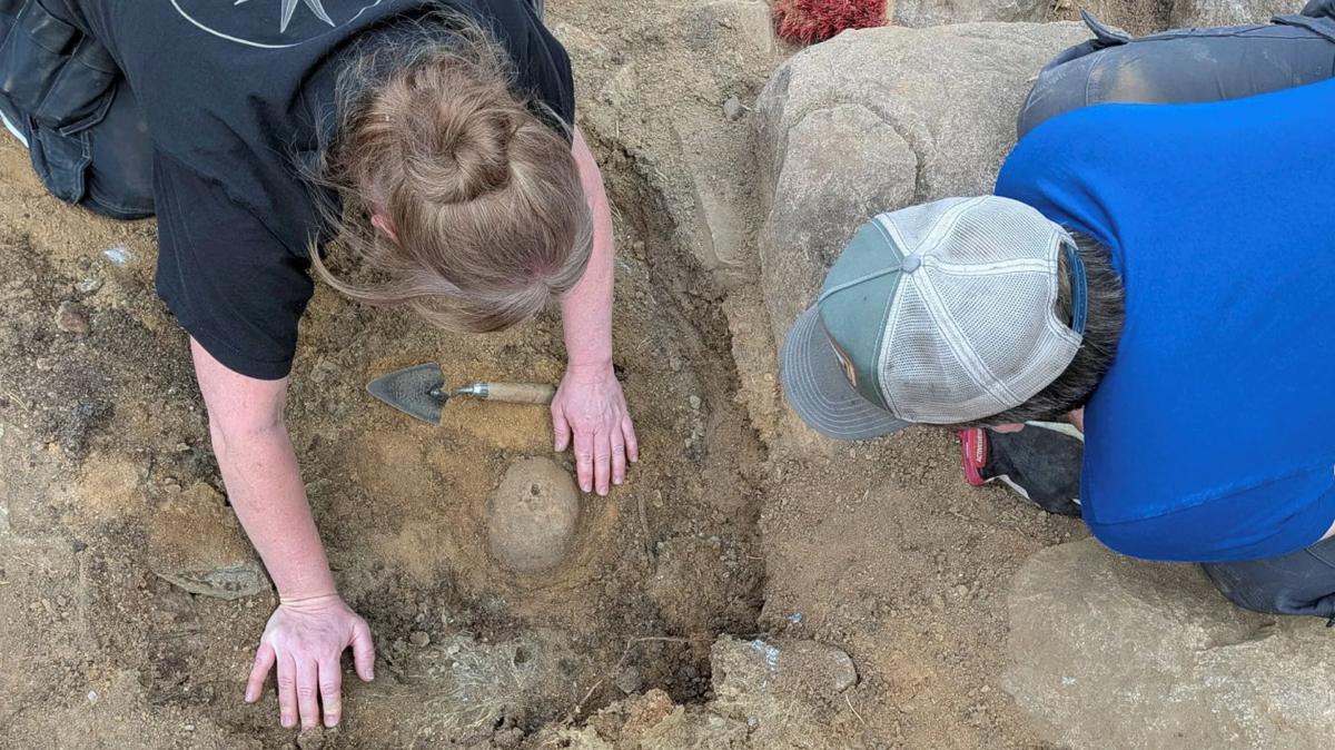 Skull with drill hole: Archaeologists puzzled by strange find