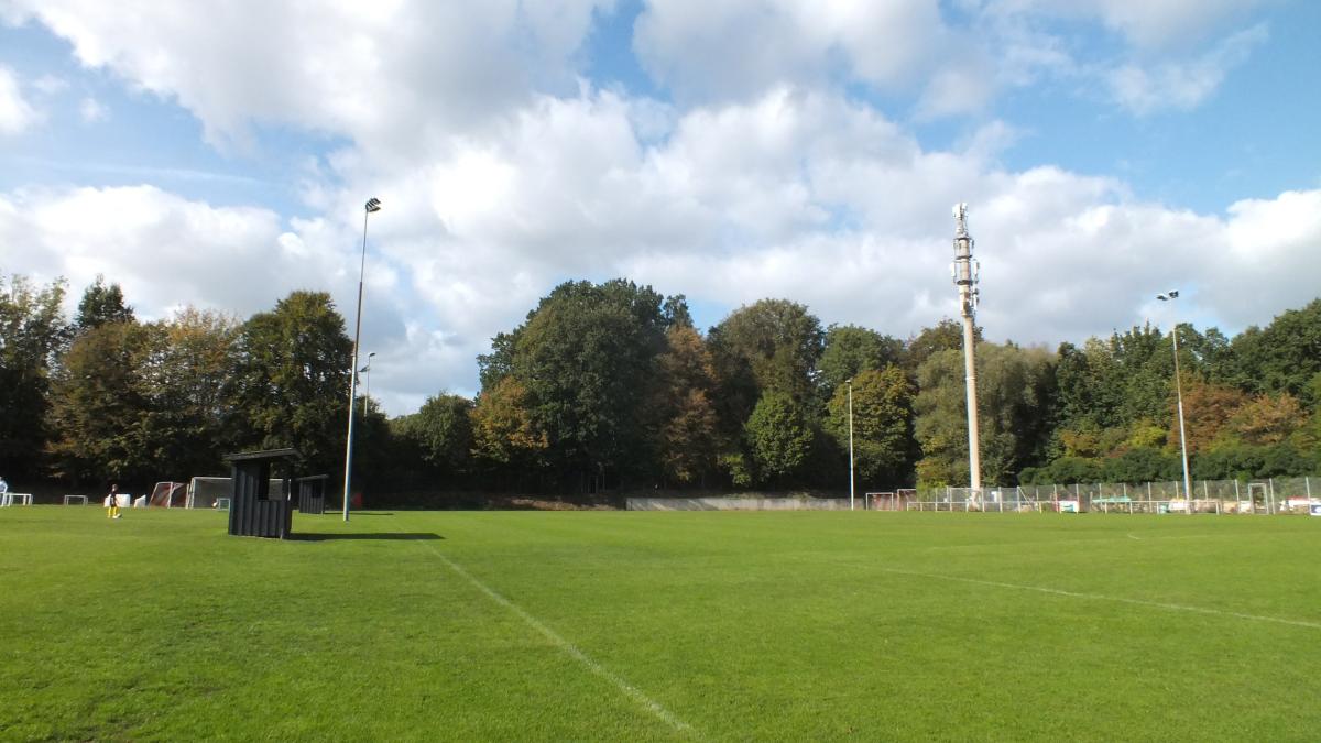 Neuer Kunstrasen in Sutthausen: Müssen Bäume weichen?