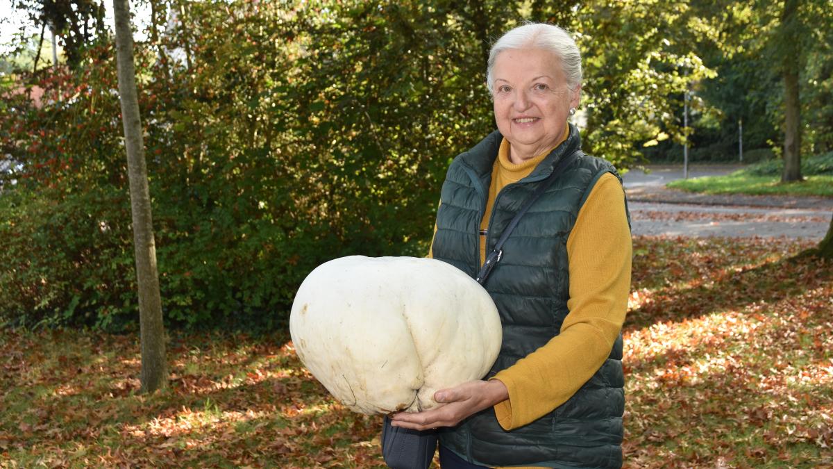 Giant puffball discovered in Cornau: 4.6 kg mushroom amazes couple