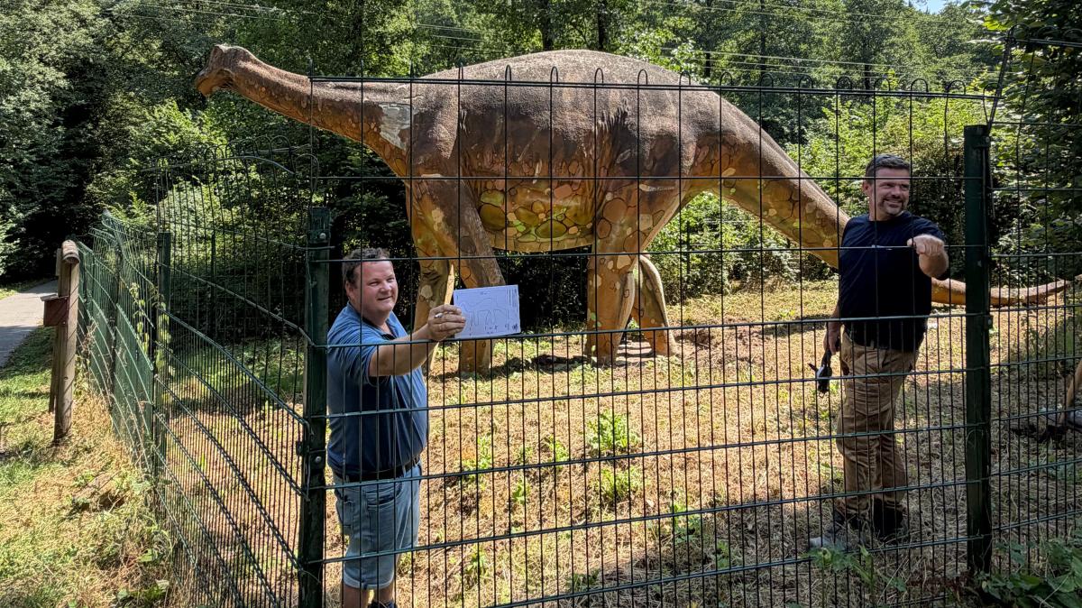 Dino eLise is moving: Gigantic transport to Damme
