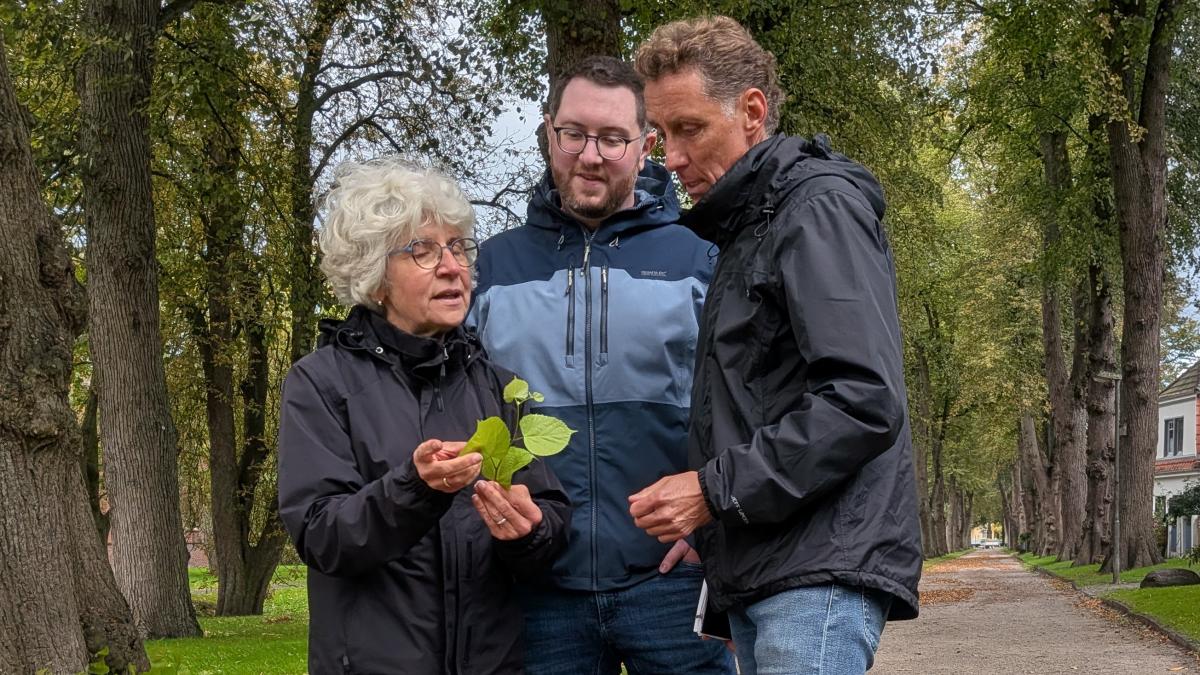 Friesland protects avenues with new register