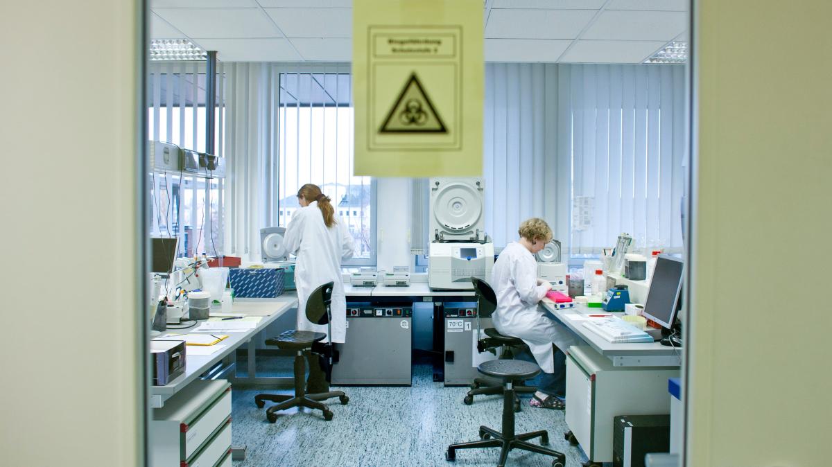 Lungenpest-Epedemie: So hoch ist das Risiko laut Experten