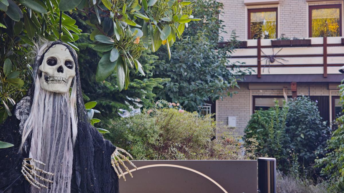Halloween in Sillenstede: Family turns garden into spooky setting