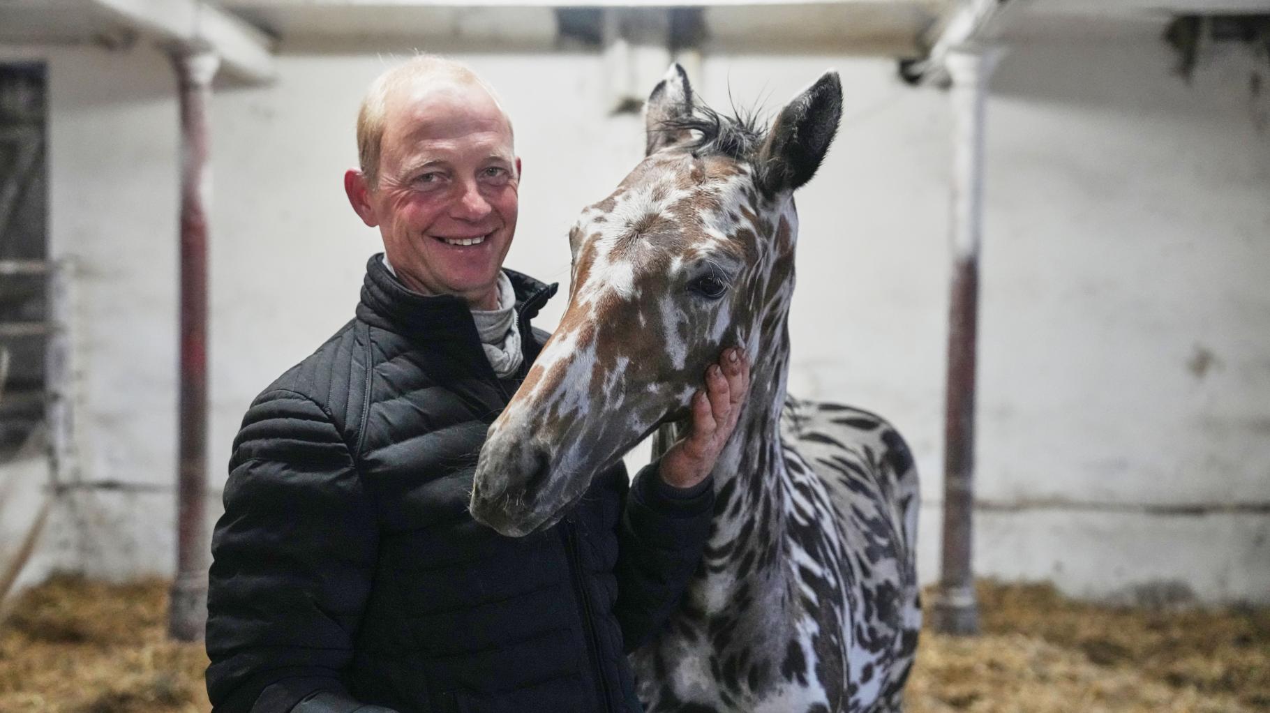 Hype um Fohlen im Zebra-Look: J-Nimon K wird für 75.000 Euro nach Dubai verkauft