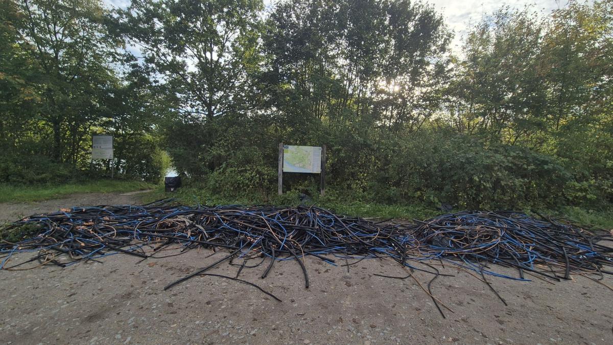 Thieves dump their cable waste at a bathing lake near Pinneberg