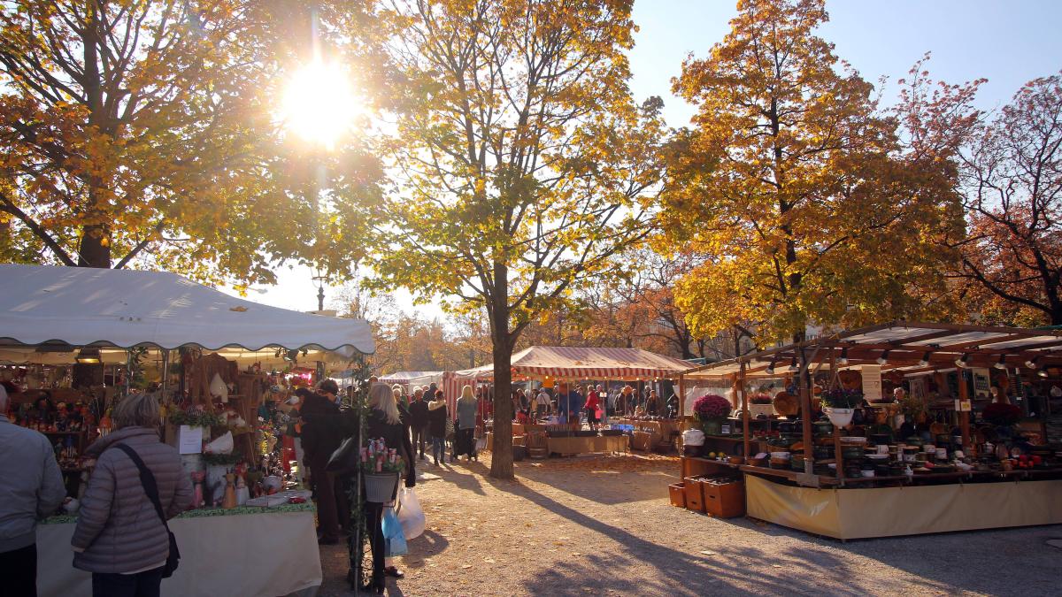 Flea market in the Pinneberg district: Dates for August and September