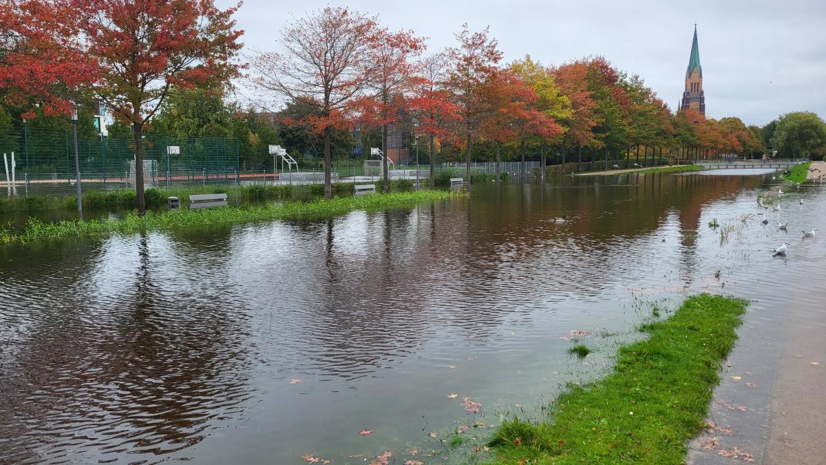 Flooding on the Schlei: Storm surge milder than expected