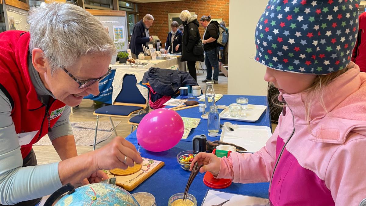 Migratory Bird Days: Horumersiel attracts visitors with bird migration and ...