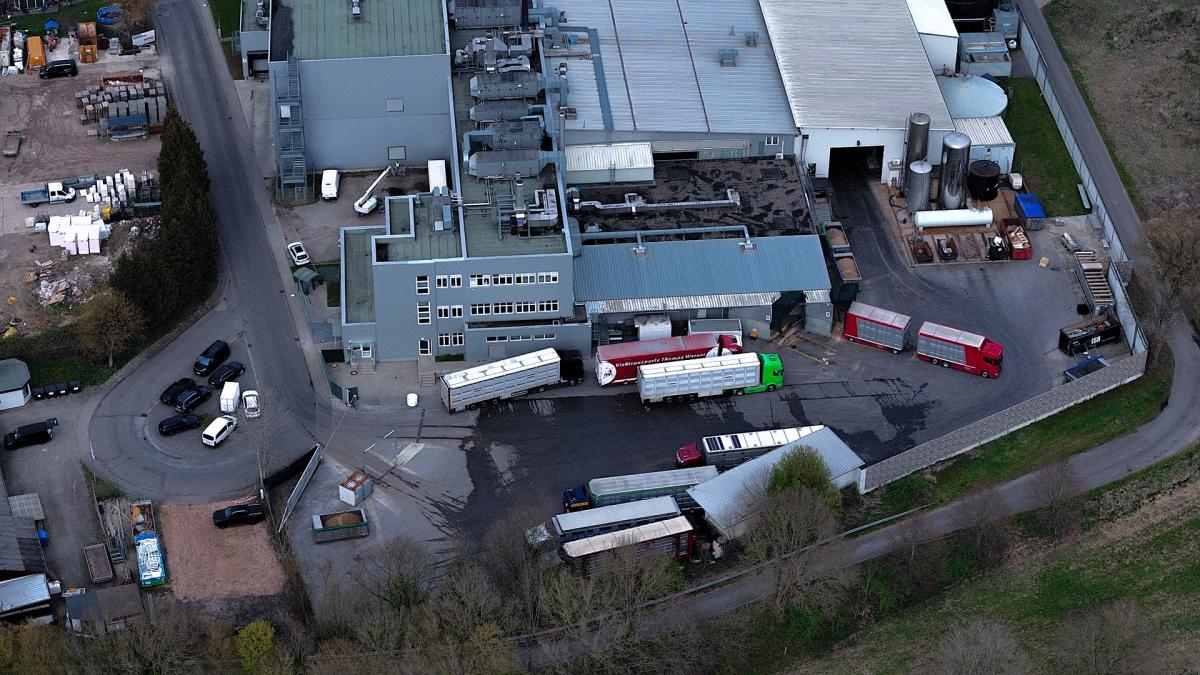 Animal cruelty at Tönnies slaughterhouse: District rejects accusations
