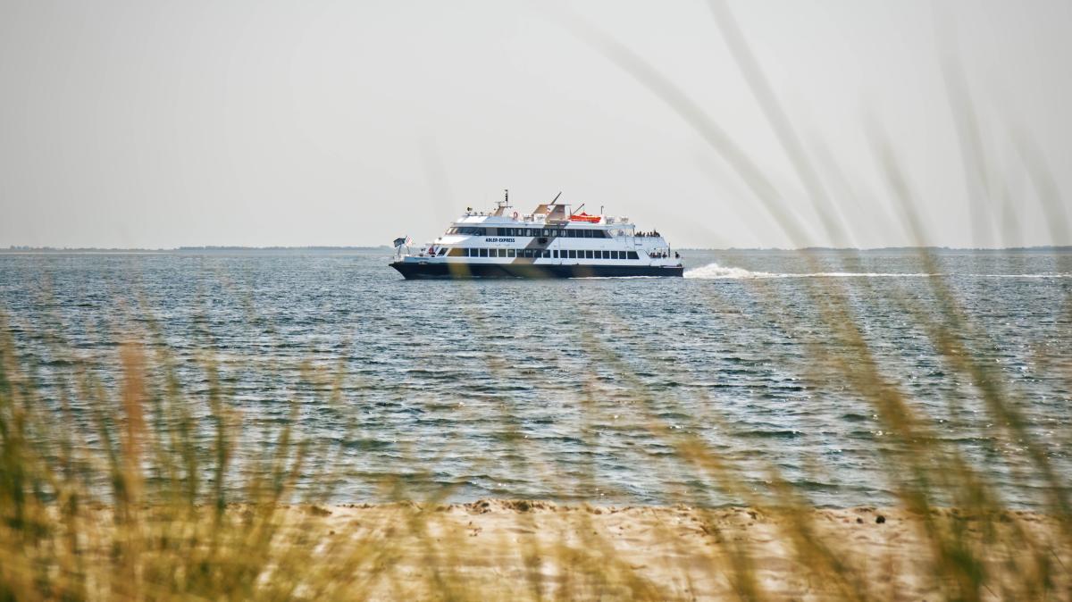 Adler-Express goes into winter break early due to storm