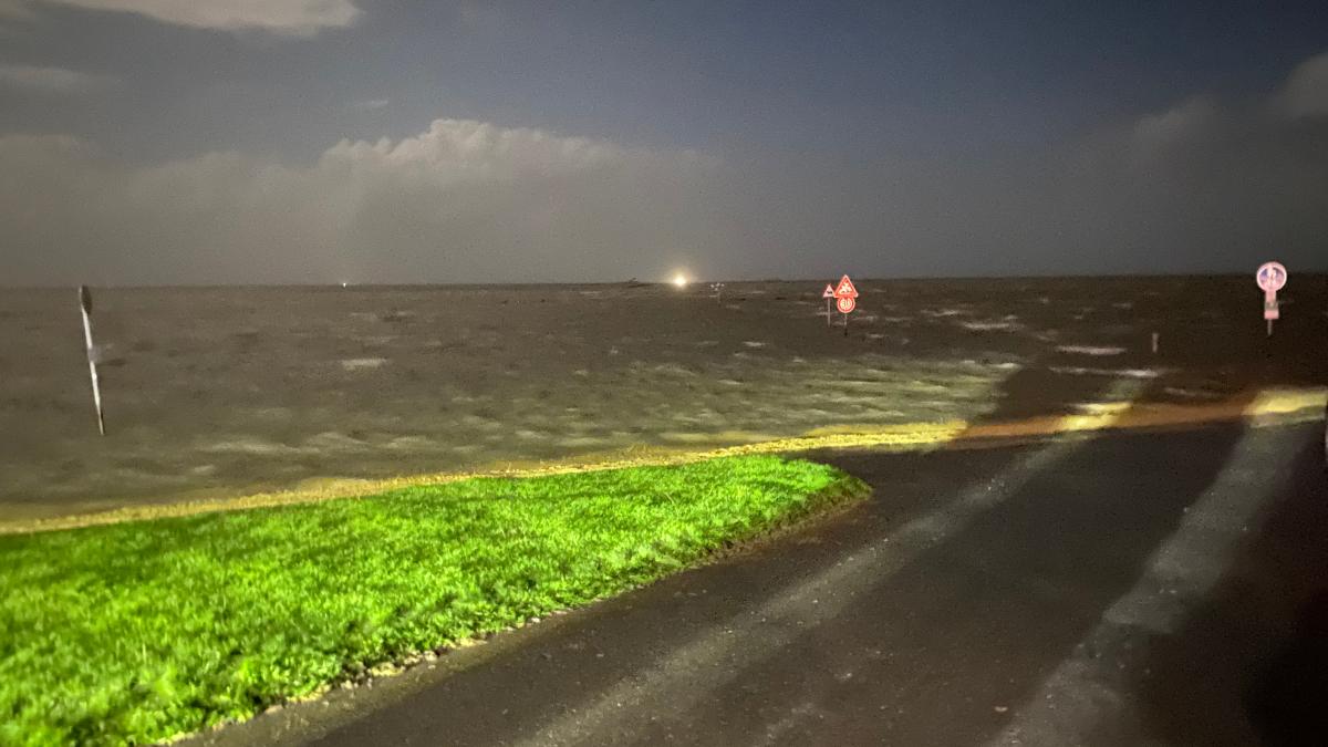 Hamburger Hallig: Woman rescued from car roof during storm surge