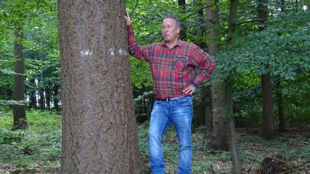 Ein gesunder Mischwald ist ihm wichtig: Holger Strübbe bei der Waldbauexkursion auf seinem Hof. Ein gesunder Mischwald ist ihm wichtig: Holger Strübbe bei der Waldbauexkursion auf seinem Hof.